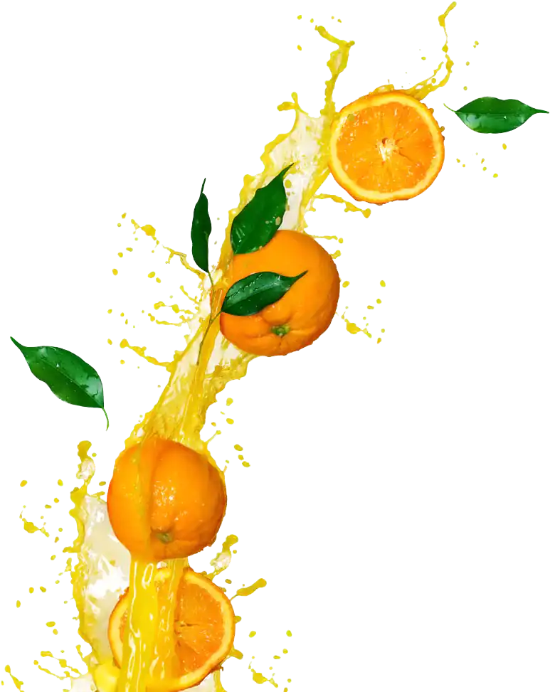 orange4 1 1